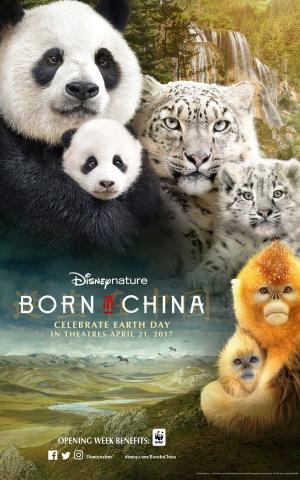 Image for born_in_china.jpg